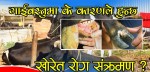 खोरेत रोगविरुद्ध महाअभियान चलाउने तयारी